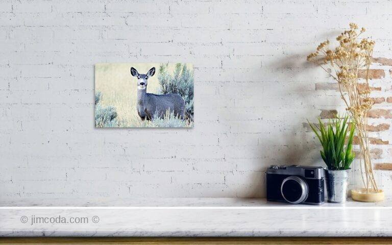 Fine art photo print example in living room