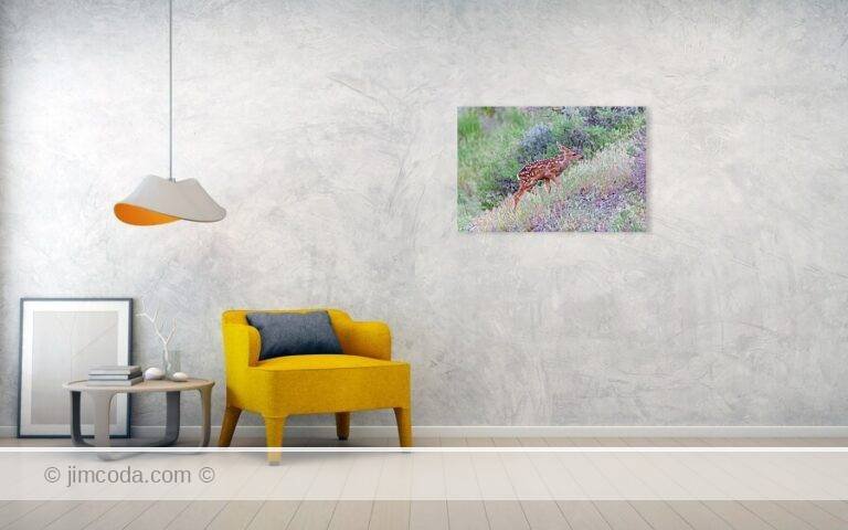 Fine art photo print example in living room