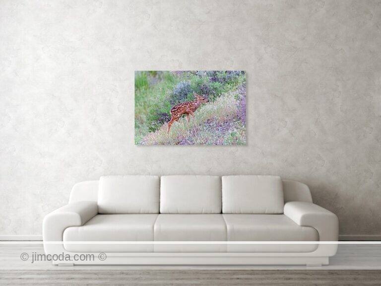 Fine art photo print example in living room