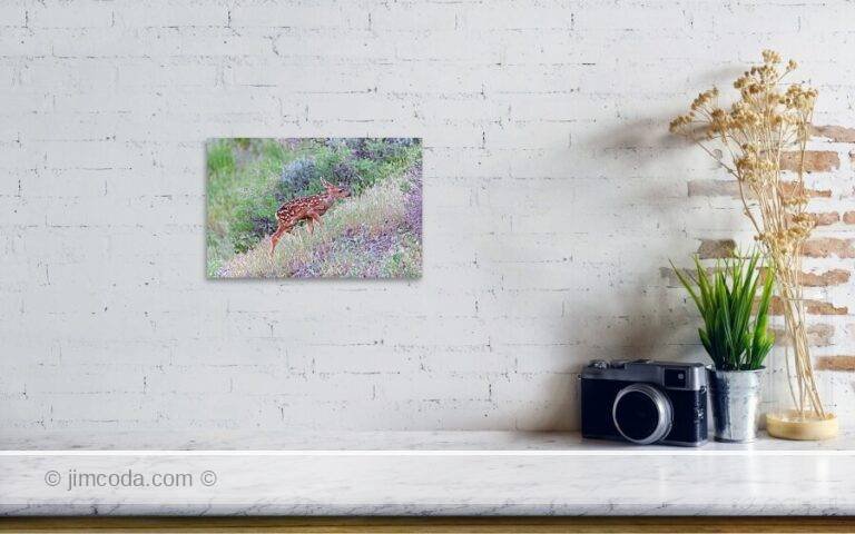 Fine art photo print example in living room