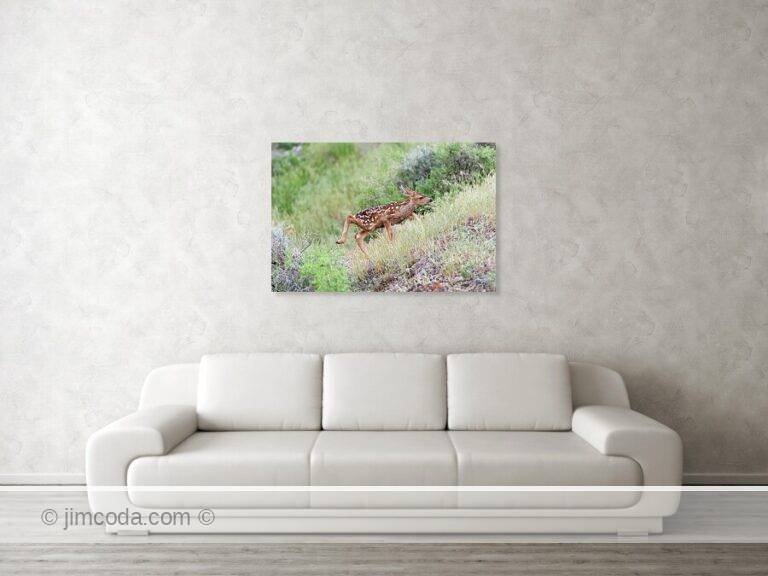 Fine art photo print example in living room