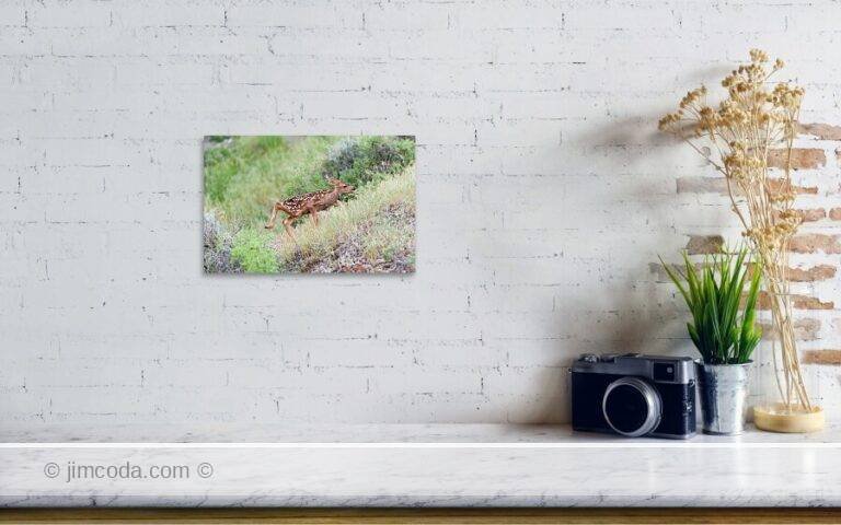 Fine art photo print example in living room
