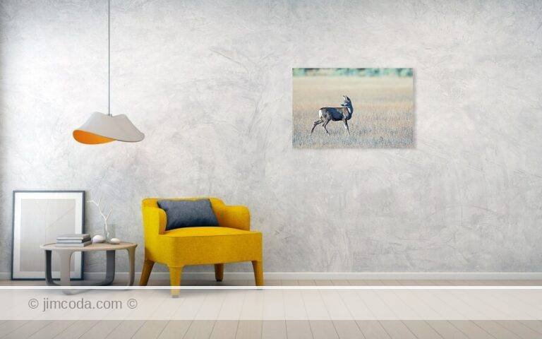 Fine art photo print example in living room