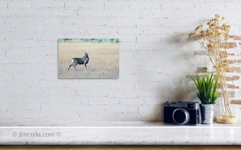 Fine art photo print example in living room