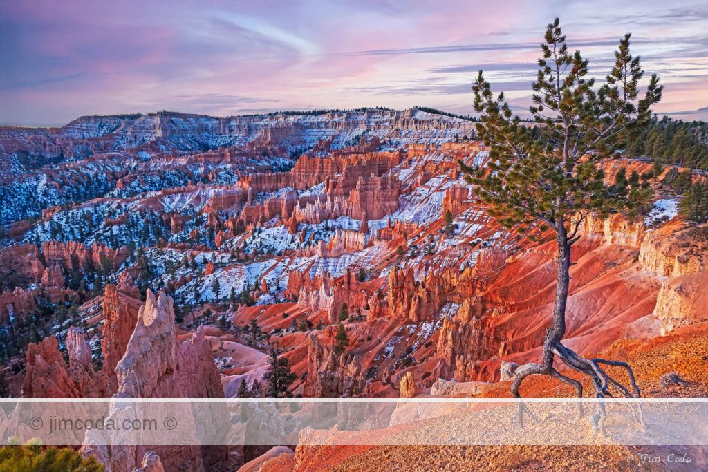 Here is a view of Bryce Canyon National Park at sunrise.