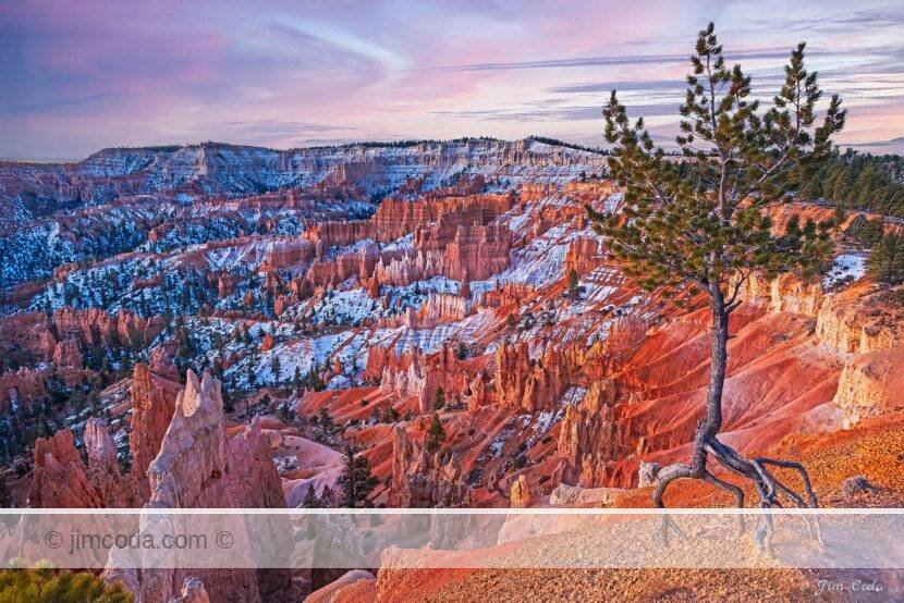 Here is a view of Bryce Canyon National Park in Utah at sunrise.