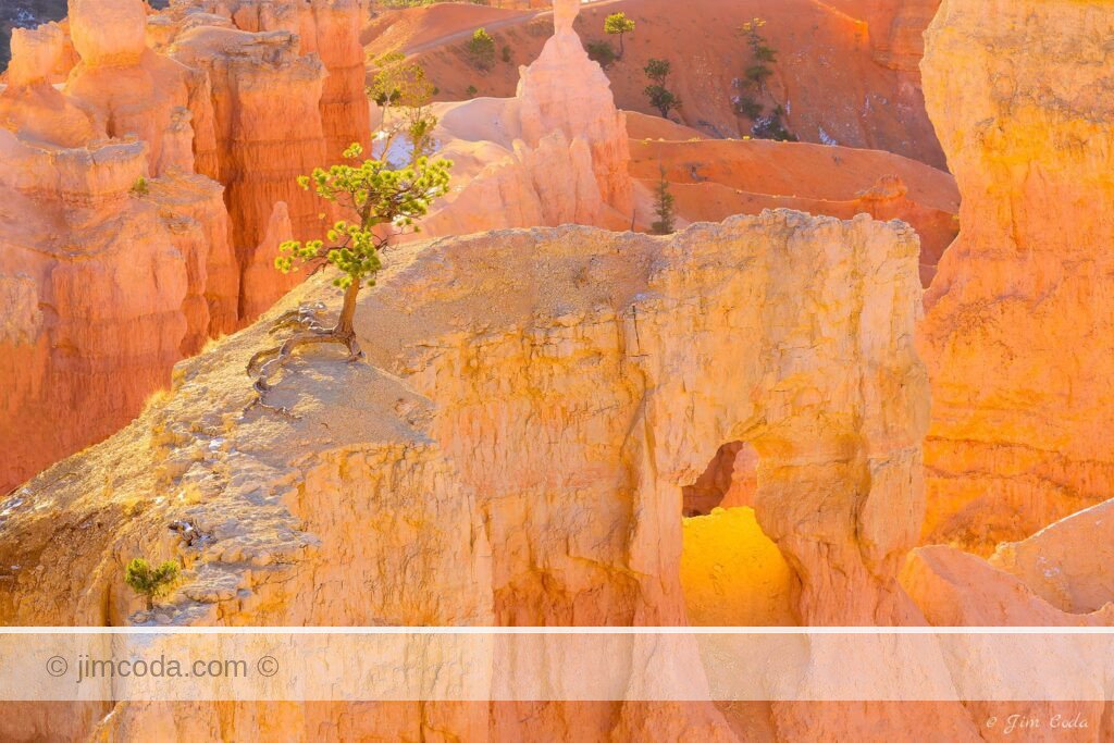 Here is a macro view of Bryce Canyon National Park.