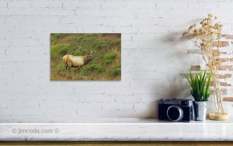 Fine art photo print example in living room
