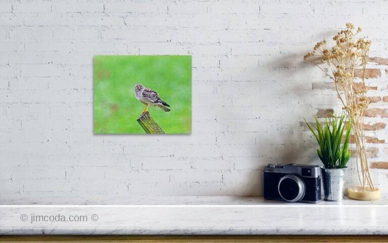 Fine art photo print example in living room