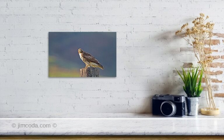 Fine art photo print example in living room