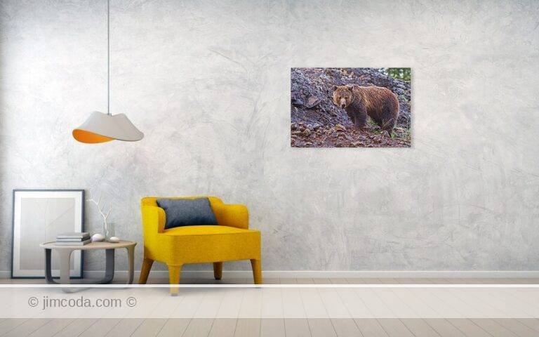 Fine art photo print example in living room