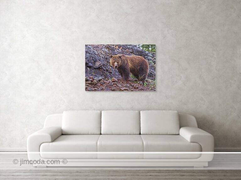 Fine art photo print example in living room