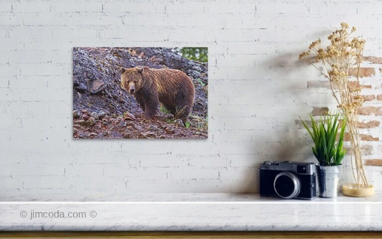 Fine art photo print example in living room