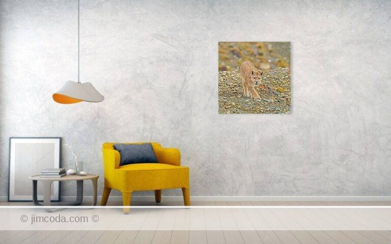 Fine art photo print example in living room