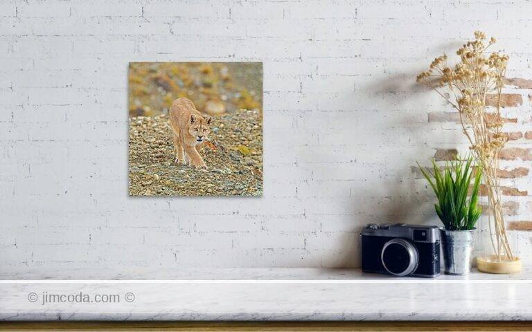 Fine art photo print example in living room
