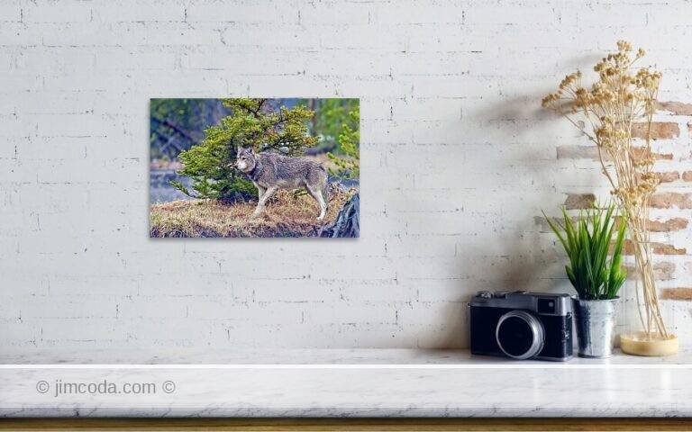 Fine art photo print example in living room