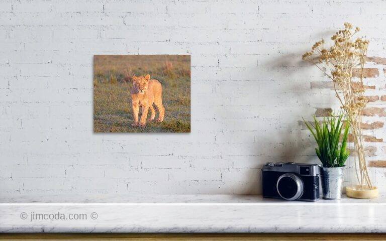 Fine art photo print example in living room