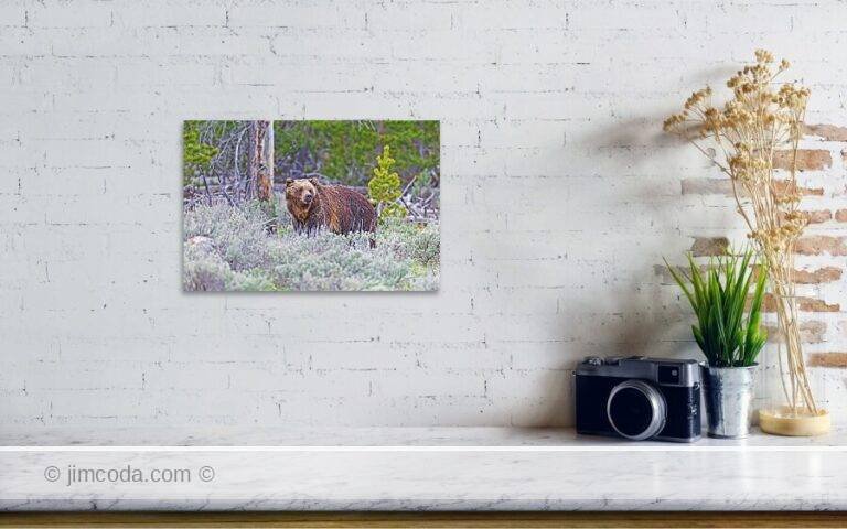 Fine art photo print example in living room