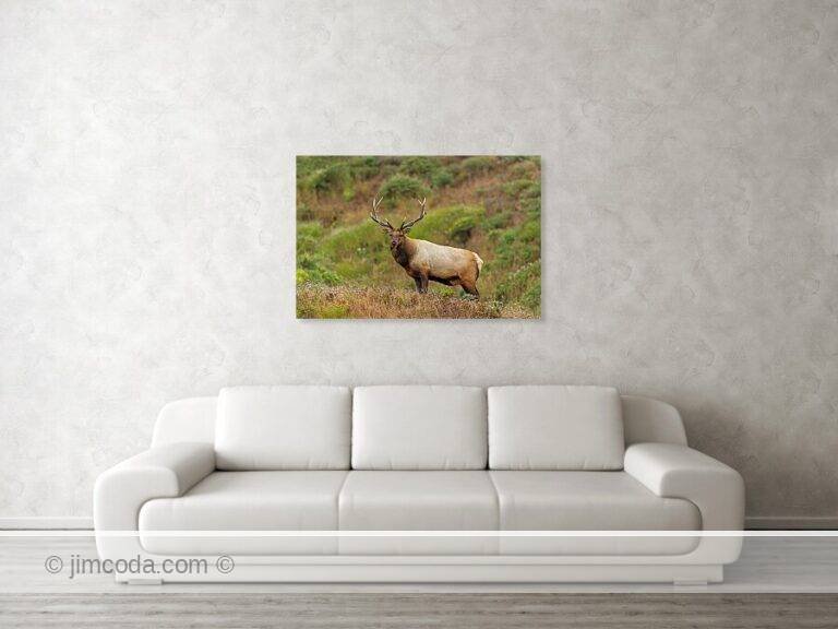 Fine art photo print example in living room