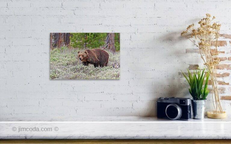 Fine art photo print example in living room