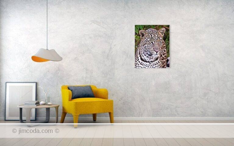 Fine art photo print example in living room