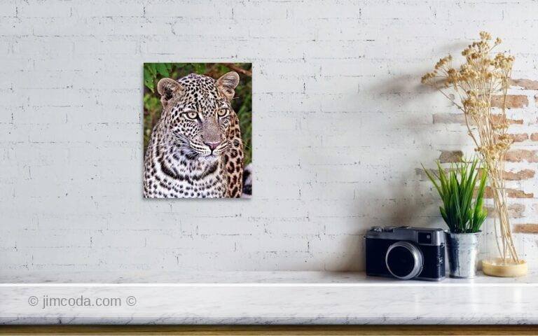 Fine art photo print example in living room