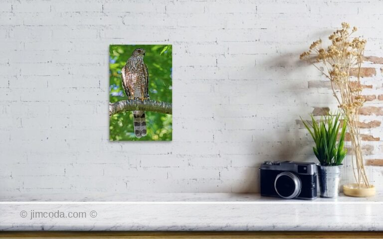 Fine art photo print example in living room
