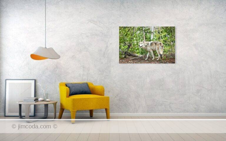 Fine art photo print example in living room