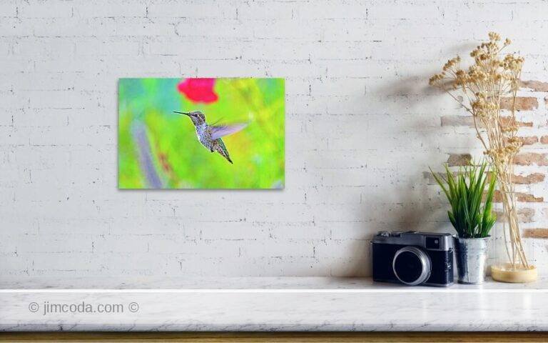 Fine art photo print example in living room