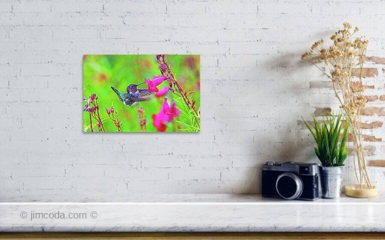 Fine art photo print example in living room