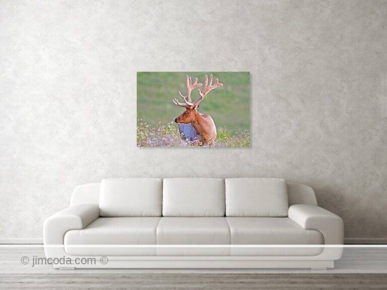 Fine art photo print example in living room