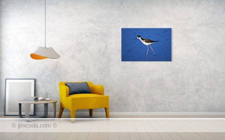 Fine art photo print example in living room