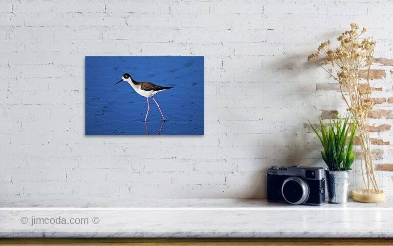 Fine art photo print example in living room