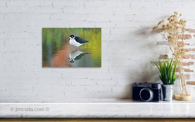 Fine art photo print example in living room
