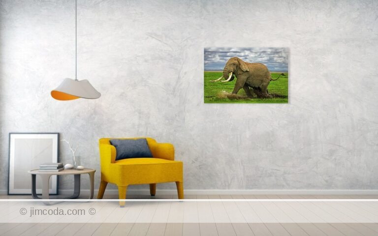 Fine art photo print example in living room