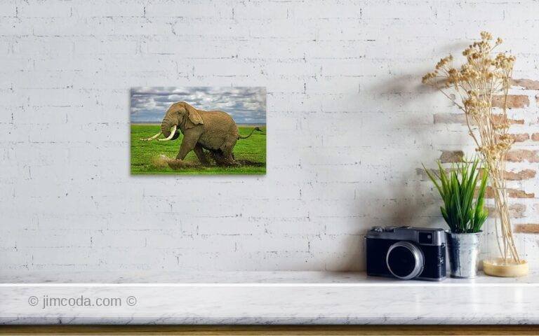 Fine art photo print example in living room