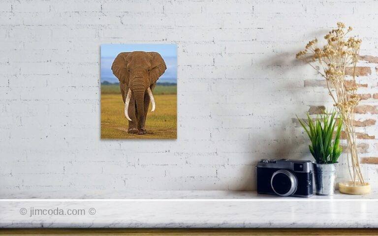 Fine art photo print example in living room