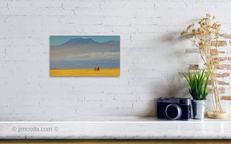 Fine art photo print example in living room