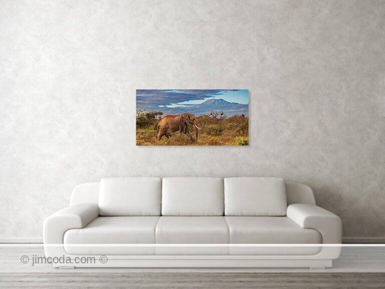 Fine art photo print example in living room