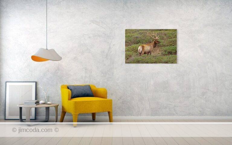 Fine art photo print example in living room