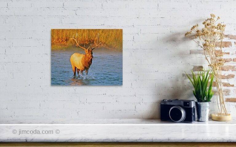 Fine art photo print example in living room