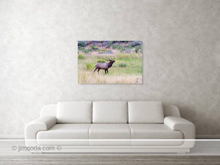 Fine art photo print example in living room