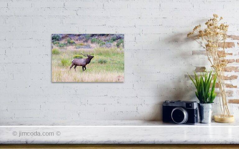 Fine art photo print example in living room