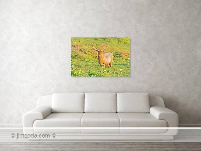 Fine art photo print example in living room