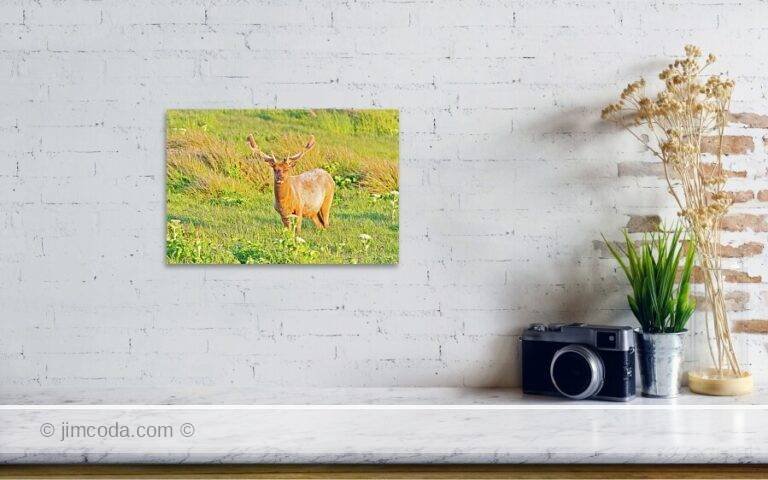 Fine art photo print example in living room