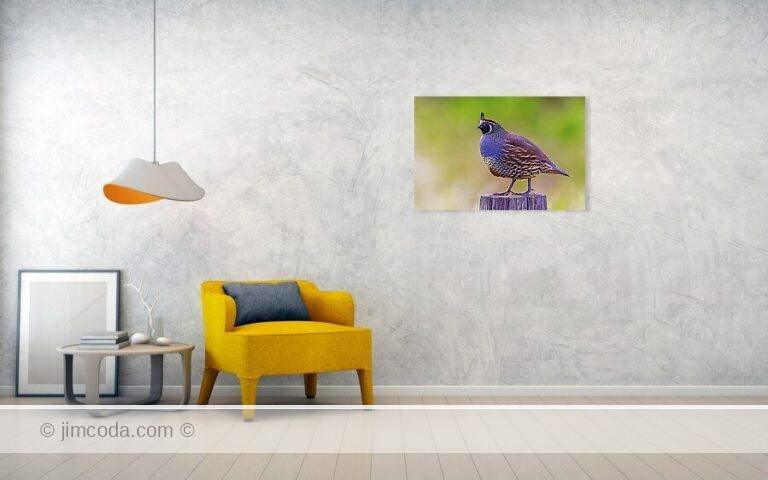 Fine art photo print example in living room