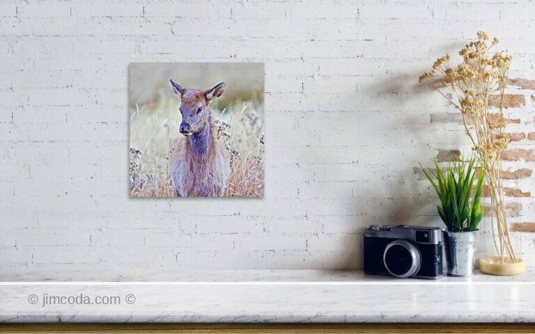 Fine art photo print example in living room
