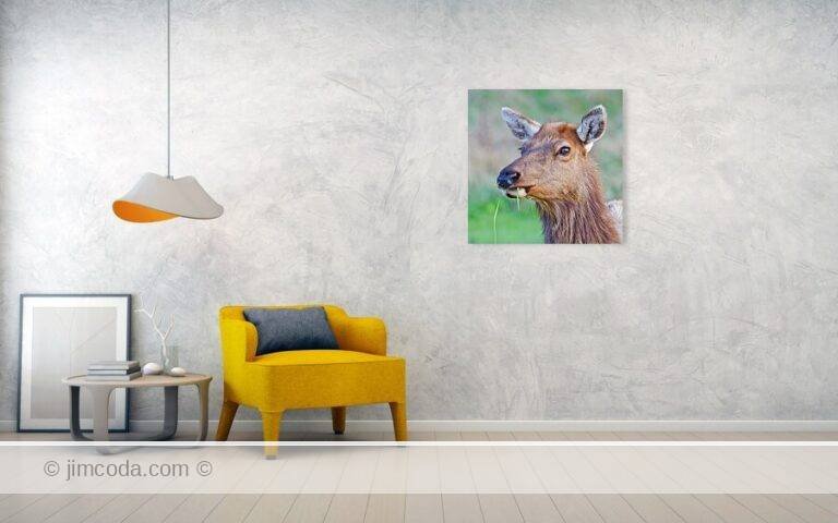 Fine art photo print example in living room