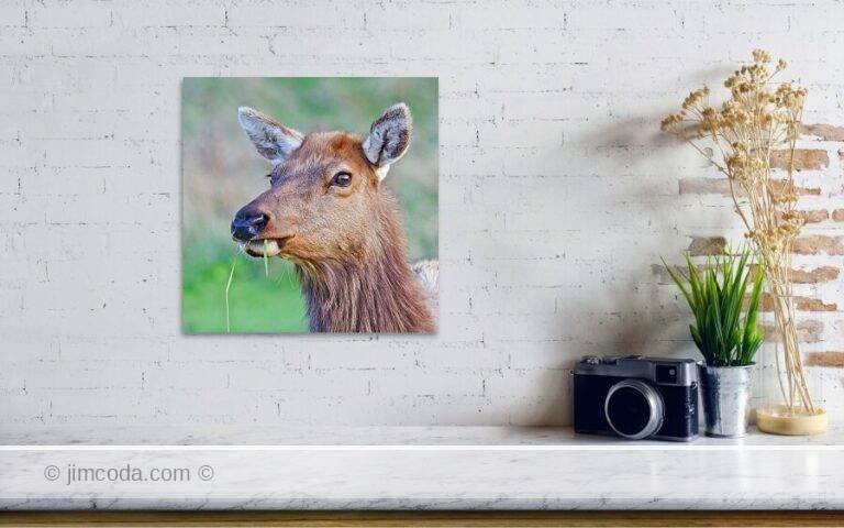 Fine art photo print example in living room