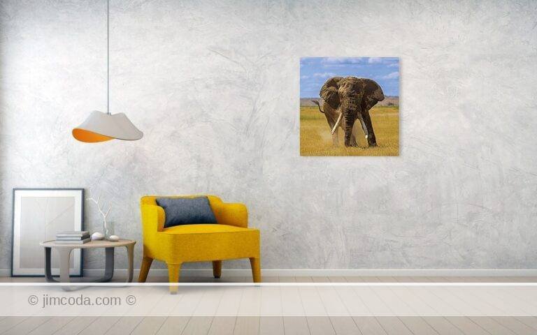 Fine art photo print example in living room